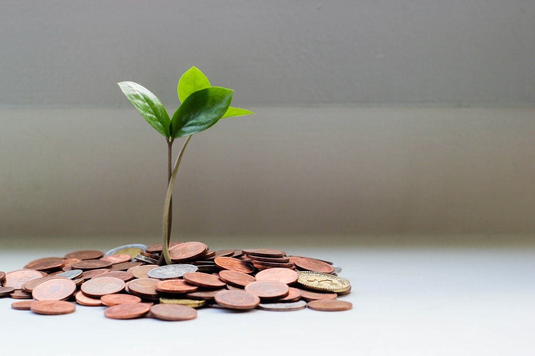 Growing savings representing financial success and growth