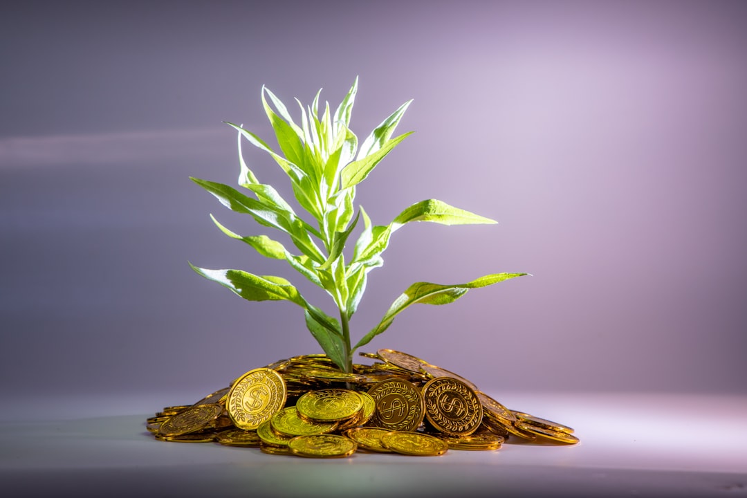 Abundance mindset and financial empowerment